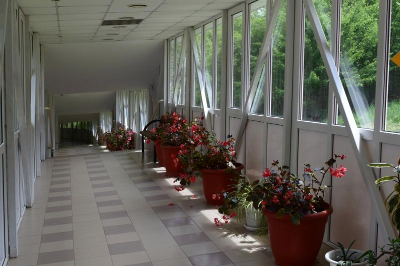 Санаторий "Пикет" Кисловодск